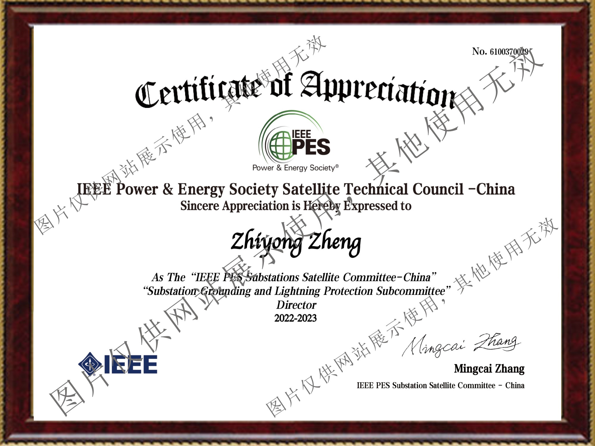 热烈庆祝我公司董事长当选为IEEE PES 变电站接地与防雷分技术委员会理事
